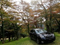 Subaru Forester 2012 photo